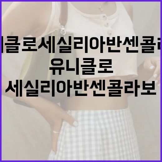 유니클로 세실리아 반센 콜라보를 활용하는 방법 - 요약