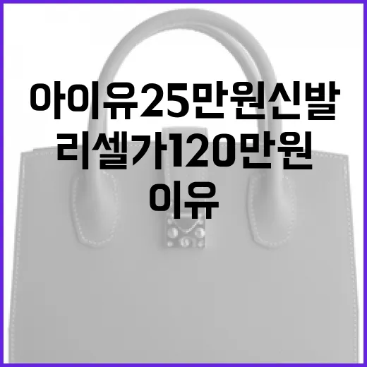 아이유 25만원 신발, 리셀가 120만원이 된 이유와 구매 방법 - 요약