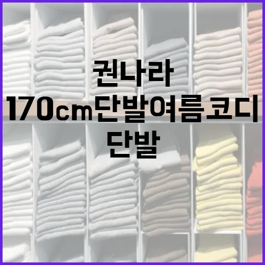 권나라처럼 170cm 단발 여름 코디하는 방법 - 요약