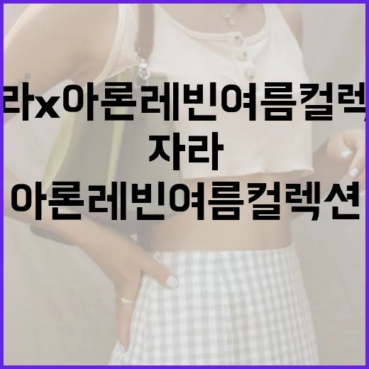 자라 X 아론레빈 여름컬렉션 스타일링 가이드 - 요약