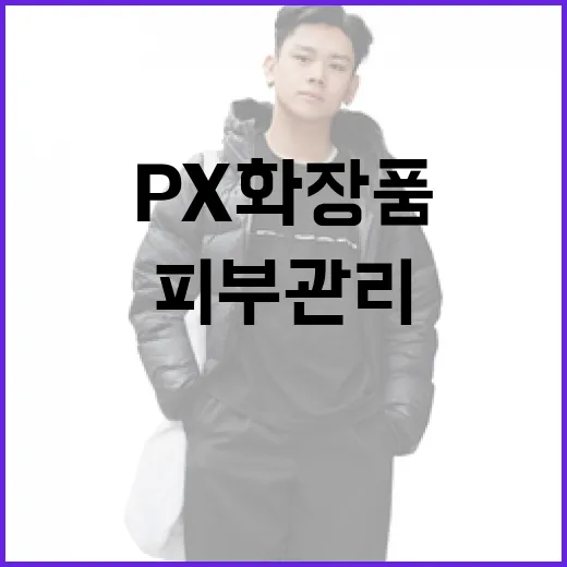 PX 화장품을 활용하여 피부 관리하는 방법 - 요약