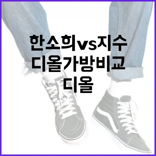 한소희 vs 지수: 디올 가방 비교하는 방법 - 요약