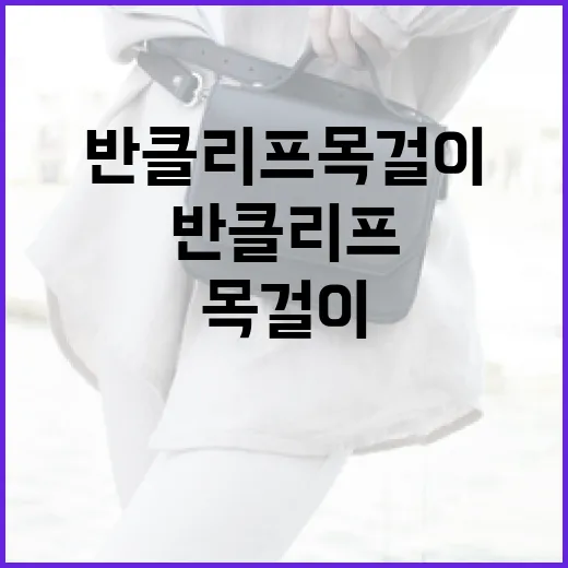 반클리프 목걸이를 선택하는 방법 - 요약