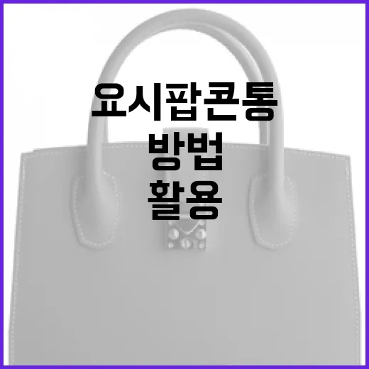 요시 팝콘통을 완벽하게 활용하는 방법 - 요약
