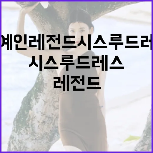 연예인 레전드 시스루 드레스를 소화하는 방법 - 요약