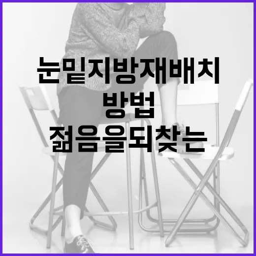 눈밑지방재배치로 젊음을 되찾는 방법 - 요약