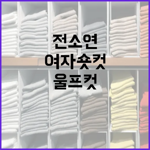 전소연 스타일: 여자숏컷과 울프컷을 선택하는 방법 - 요약