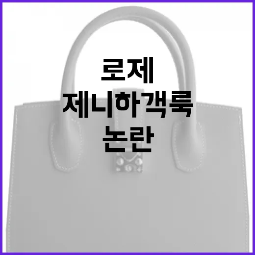 로제 제니 하객룩 논란에 대한 이해와 대응 방법 - 요약