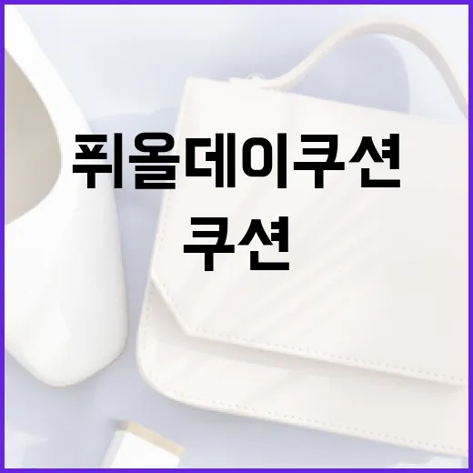 퓌 올데이쿠션을 효과적으로 사용하는 방법 - 요약