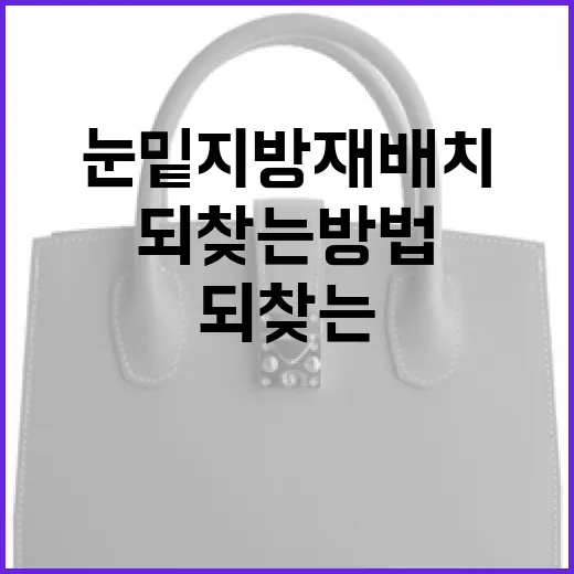 눈밑지방재배치로 자신감을 되찾는 방법 - 요약