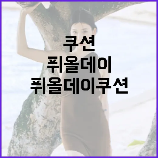 퓌 올데이쿠션을 완벽하게 사용하는 방법 - 요약