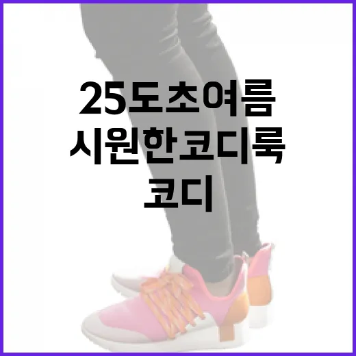 25도 초여름, 시원한 코디룩 완성하는 방법 - 요약