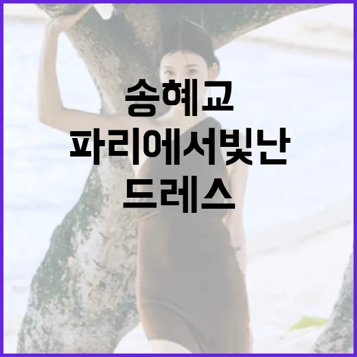 송혜교의 파리에서 빛난 드레스를 스타일링하는 방법 - 요약