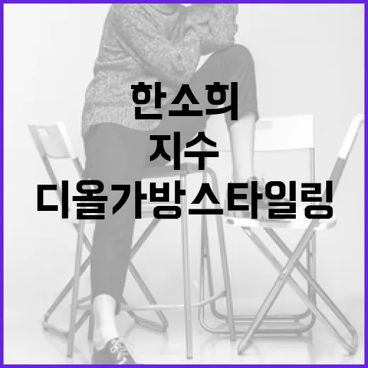 한소희와 지수처럼 디올 가방 스타일링하는 방법 - 요약