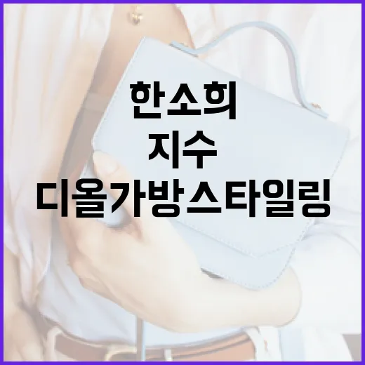 한소희와 지수처럼 디올가방 스타일링하는 방법 - 요약