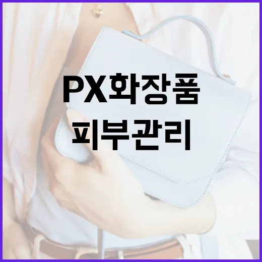 PX 화장품을 활용하여 피부 관리하는 방법 - 요약
