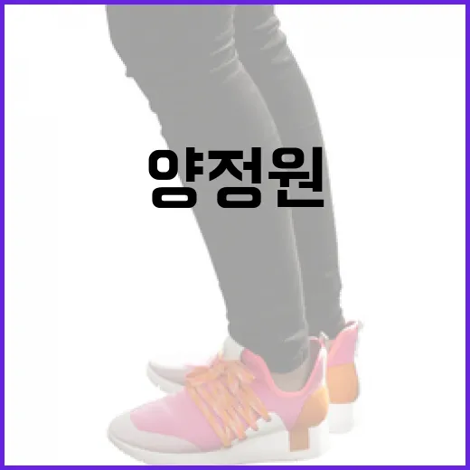 양정원의 매력을 발견하는 방법 - 요약
