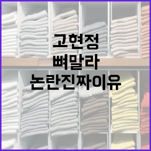 고현정의 '뼈말라' 논란 진짜 이유와 건강한 체중 유지법 - 요약