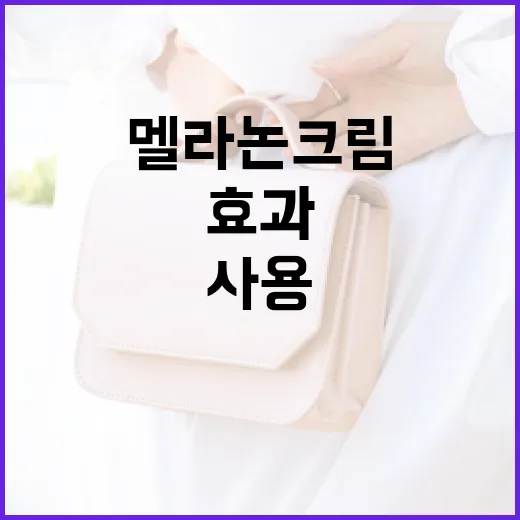 멜라논크림 사용하는 방법과 효과 알아보기 - 요약