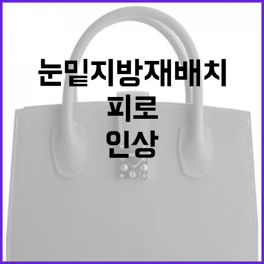 눈밑지방재배치로 피로한 인상을 개선하는 방법 - 요약