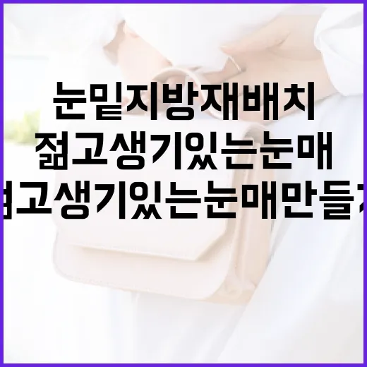 눈밑지방재배치를 통해 젊고 생기 있는 눈매 만들기 - 요약