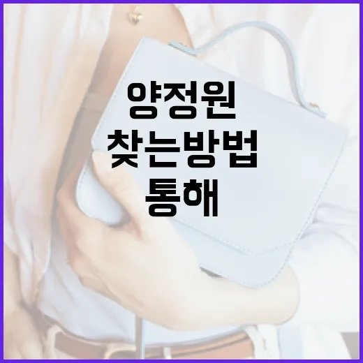 양정원을 통해 삶의 균형을 찾는 방법 - 요약