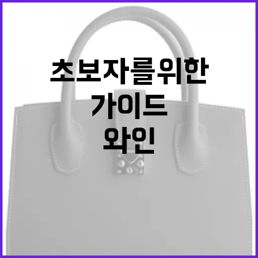 타낫 와인을 즐기는 방법: 초보자를 위한 가이드 - 요약