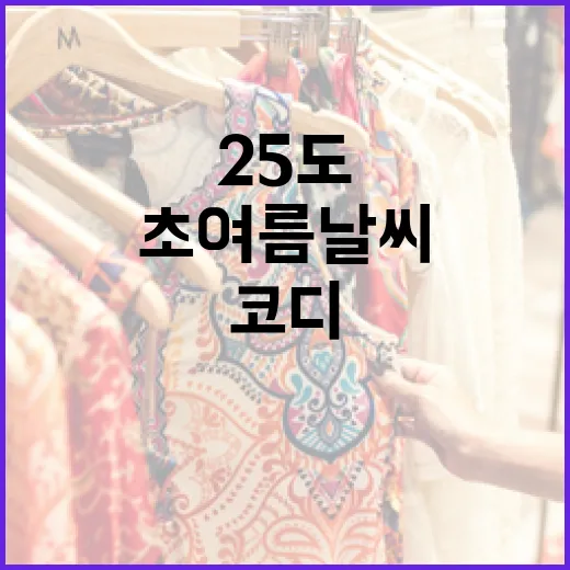 25도 초여름 날씨에 시원하게 코디하는 방법 - 요약