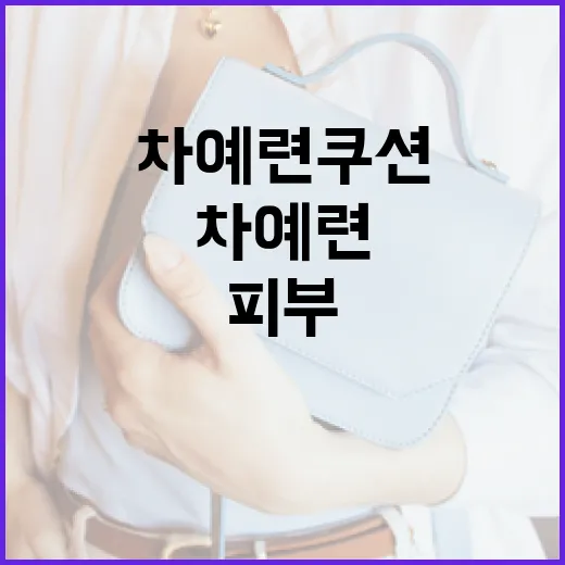 차예련 쿠션으로 피부를 빛내는 방법 - 요약