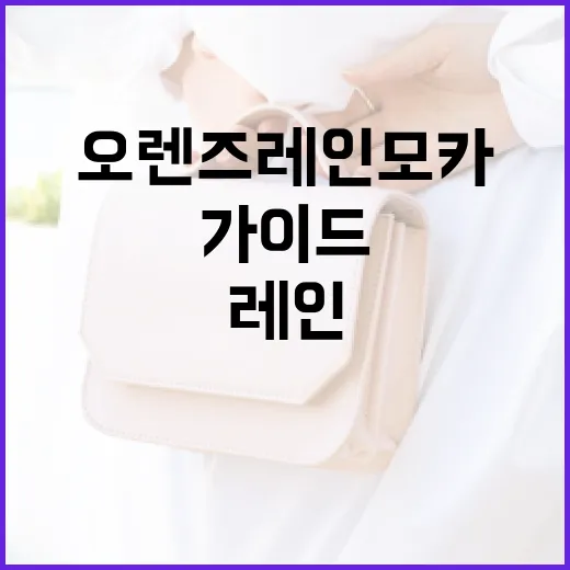 오렌즈 레인모카를 즐기는 방법: 초보자를 위한 가이드 - 요약