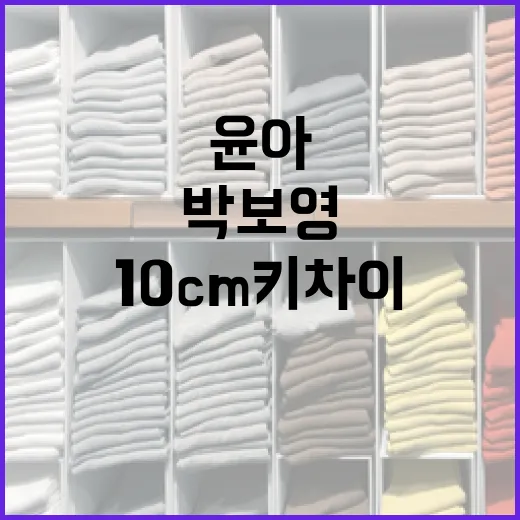 윤아와 박보영 스타일: 10cm 키 차이를 극복하는 셋업 방법 - 요약