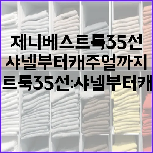 제니 베스트룩 35선: 샤넬부터 캐주얼까지 완벽하게 소화하는 방법 - 요약