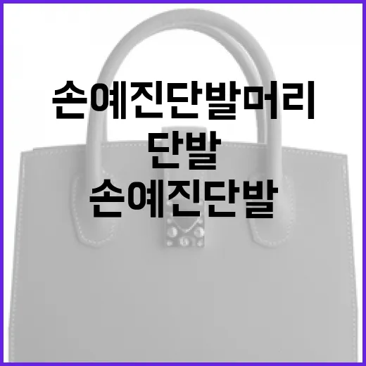 손예진 단발머리 스타일링하는 방법 - 요약