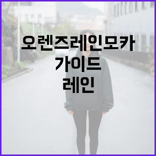 오렌즈 레인모카를 즐기는 방법: 초보자를 위한 가이드 - 요약