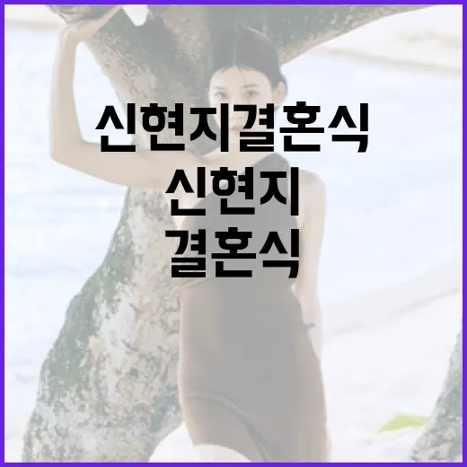 신현지 결혼식 하객룩으로 주목받는 방법 - 요약