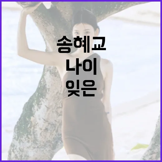 나이를 잊은 송혜교의 레전드룩 따라잡는 방법 - 요약