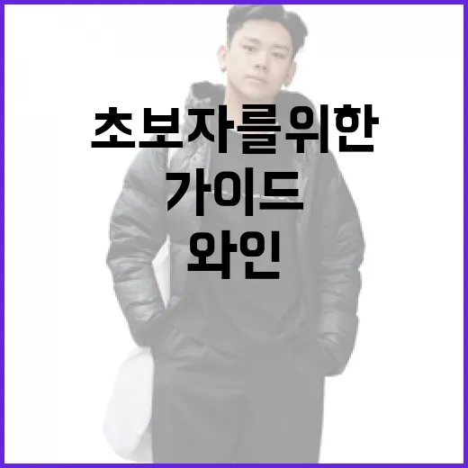 타낫 와인을 즐기는 방법: 초보자를 위한 가이드 - 요약