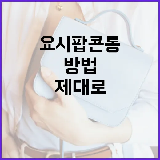 요시 팝콘통을 제대…