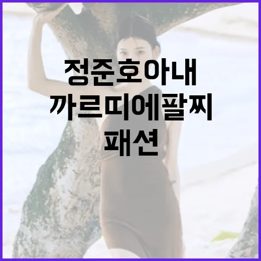 정준호 아내처럼 까르띠에 팔찌로 패션 포인트 주는 방법 - 요약