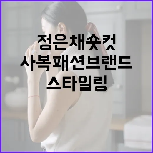 정은채 숏컷 스타일링과 사복 패션 브랜드 선택하기 - 요약