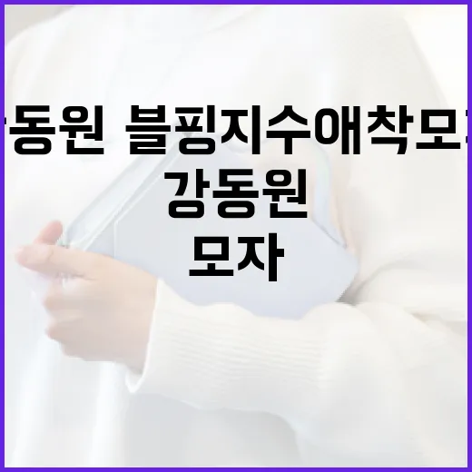 강동원·블핑 지수 애착 모자 스타일링 방법