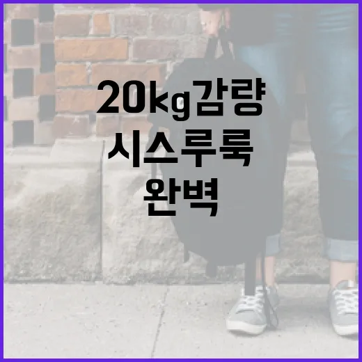 20kg 감량 후 시스루룩을 완벽하게 소화하는 방법 - 요약