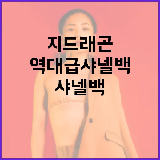 지드래곤 역대급 샤넬백 스타일링 방법 - 요약