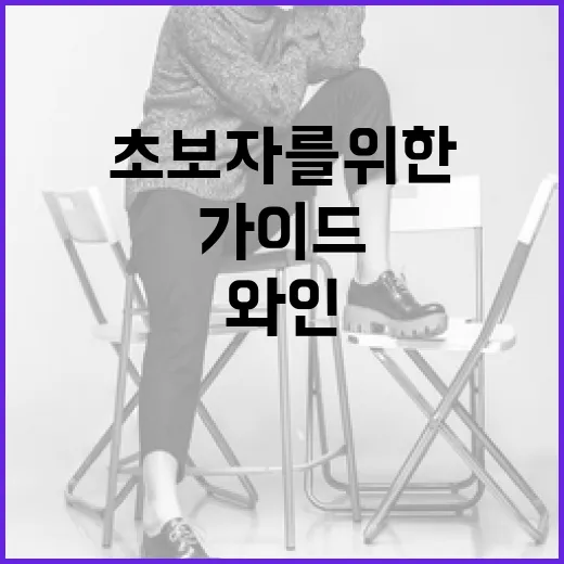 타낫 와인을 즐기는 방법: 초보자를 위한 가이드 - 요약