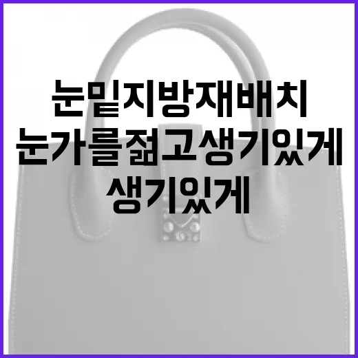 눈밑지방재배치를 통해 눈가를 젊고 생기있게 만드는 방법 - 요약