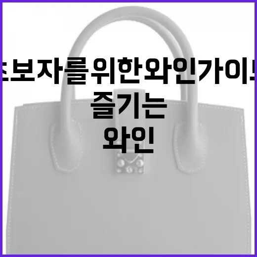 타낫을 즐기는 방법: 초보자를 위한 와인 가이드 - 요약