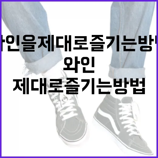타낫 와인을 제대로 즐기는 방법 - 요약