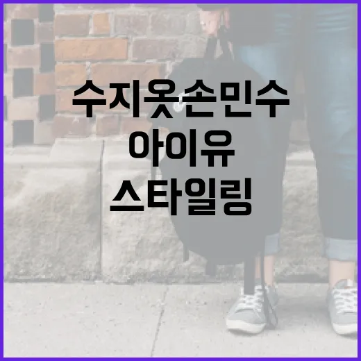 아이유처럼 스타일링하는 방법: 수지 옷 손민수하기 - 요약