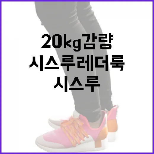 시스루 레더룩을 위한 20kg 감량 방법 - 요약