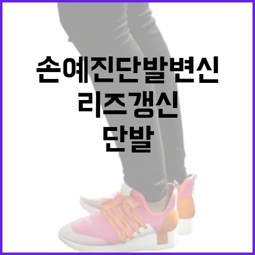 손예진 단발 변신으로 리즈 갱신하는 방법 - 요약